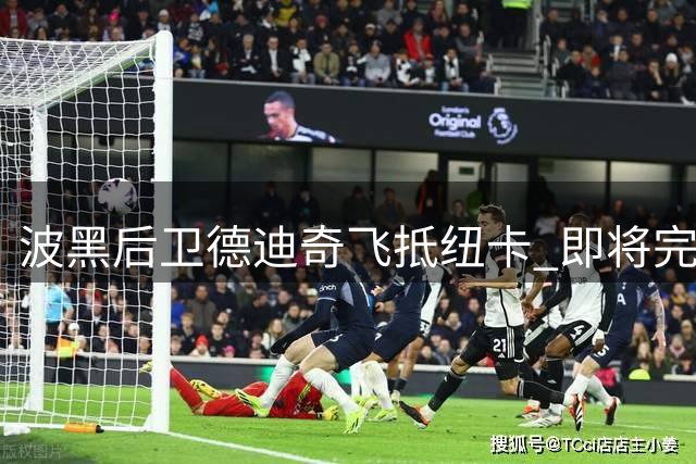 波黑后卫德迪奇飞抵纽卡 即将完成五年长约签约