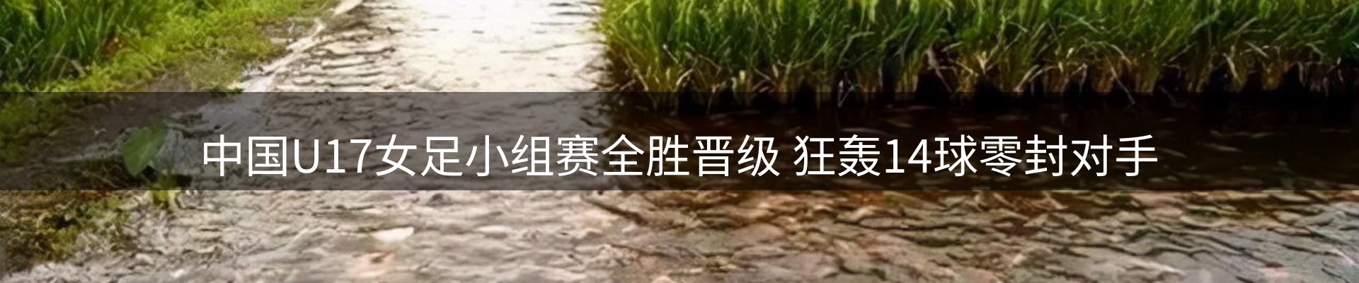 最新资讯