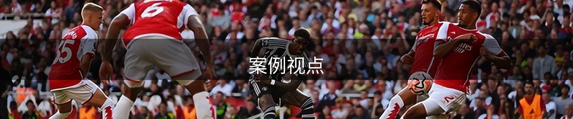 案例视点